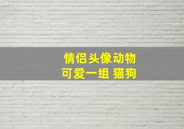 情侣头像动物可爱一组 猫狗